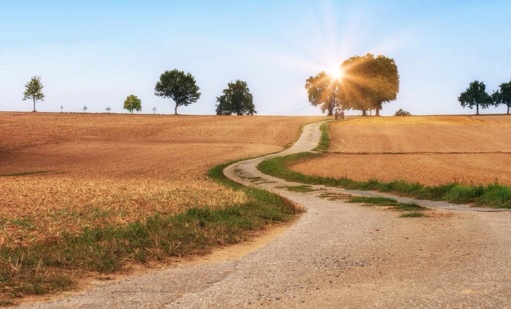 FXで一生勝ち続ける道を象徴する、太陽の光が差し込む曲がりくねった一本道。資金管理こそが成功への確かな道筋であることを表現。