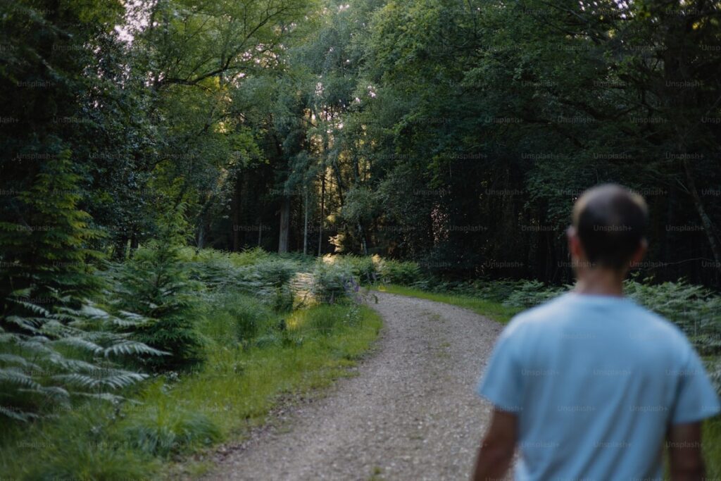 FXで生き残るための長期的な視点を持ち、森の中の続く道を一歩ずつ進む大学生の男性の後ろ姿。